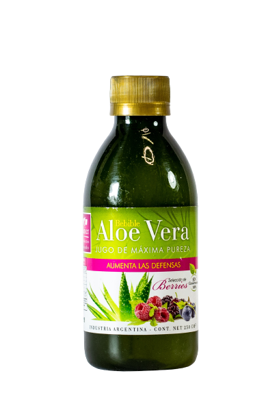 Aloe Vera Con Berries Natier