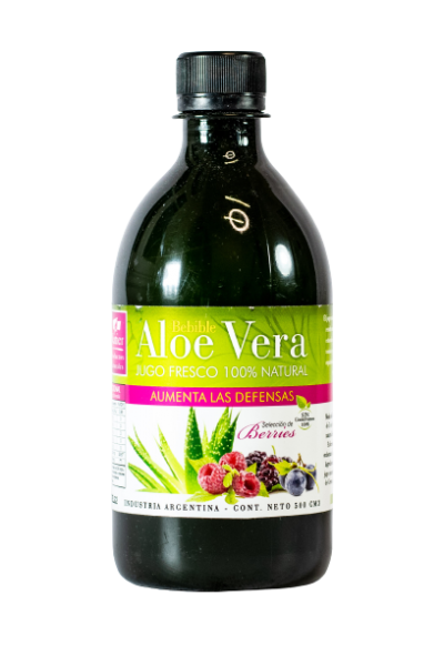 Aloe Vera Con Berries Natier