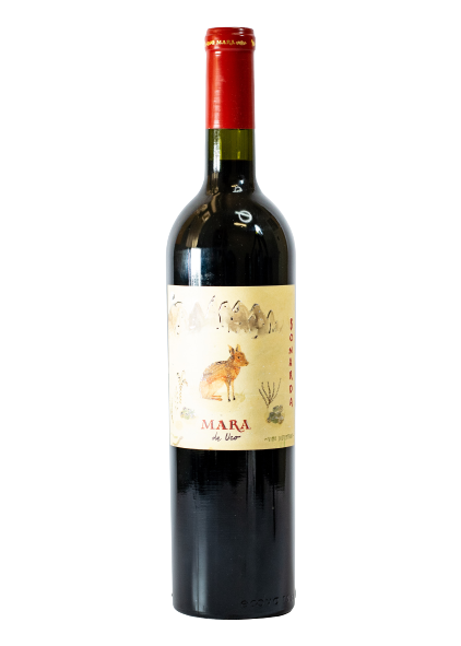 Vino Mara Bonarda